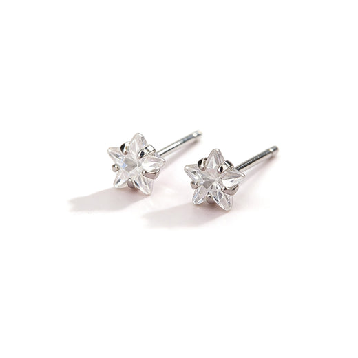 Stud Earrings